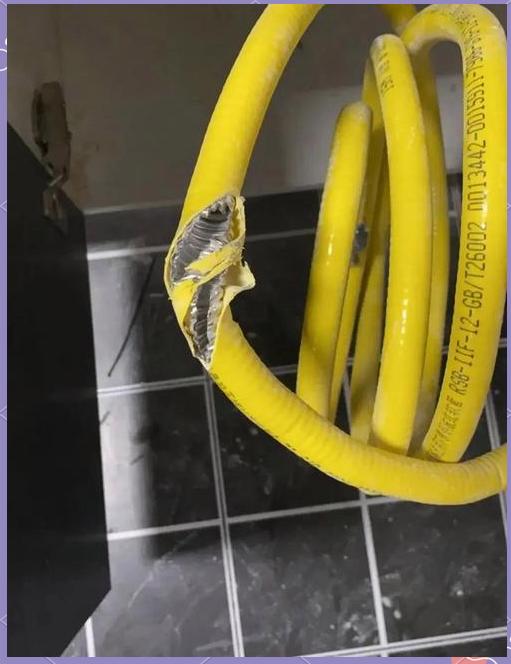 正在使用燃气的请注意,多数人忽略的细节,正在酿大祸 正在使用燃气的请注意,多数人忽略的细节,正在酿大祸