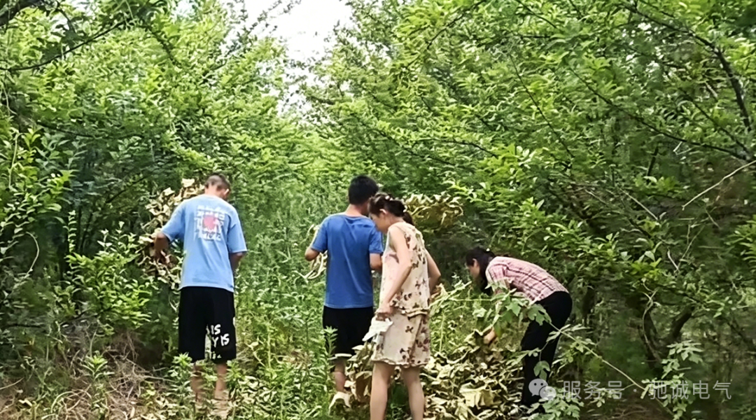 果香致端阳 善意汇星光|驰诚电气向善而行 守护童心成长 果香致端阳 善意汇星光|驰诚电气向善而行 守护童心成长