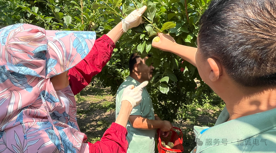 果香致端阳 善意汇星光|驰诚电气向善而行 守护童心成长 果香致端阳 善意汇星光|驰诚电气向善而行 守护童心成长