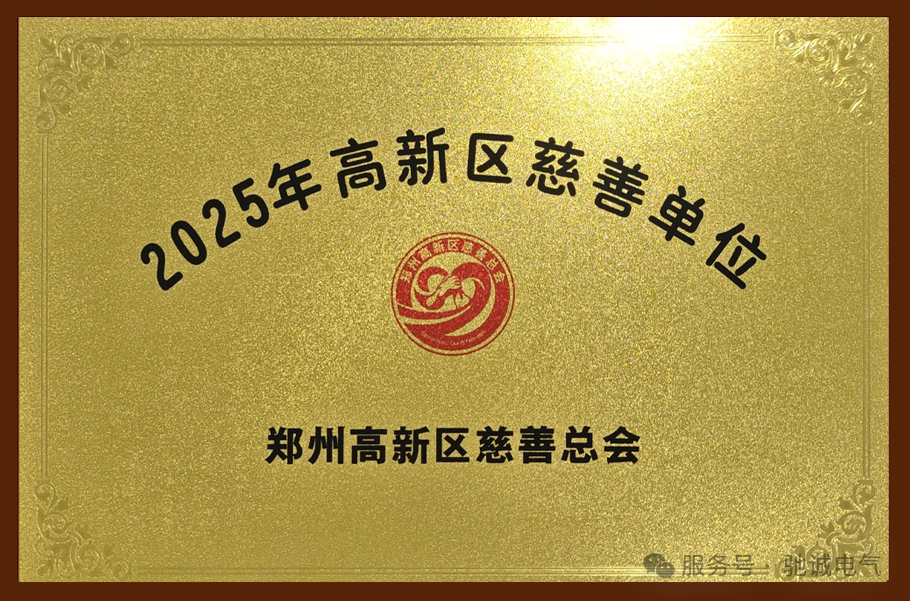 守护气体安全 传递人间温暖——驰诚电气获评“郑州高新区慈善单位”