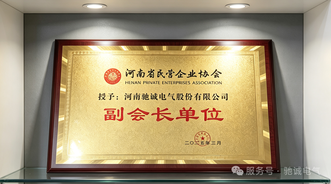 互学共鉴 聚力前行|河南省民营企业协会访学交流团莅临驰诚电气