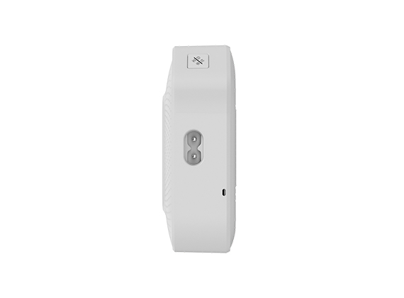HD8200智能语音型双气体报警器